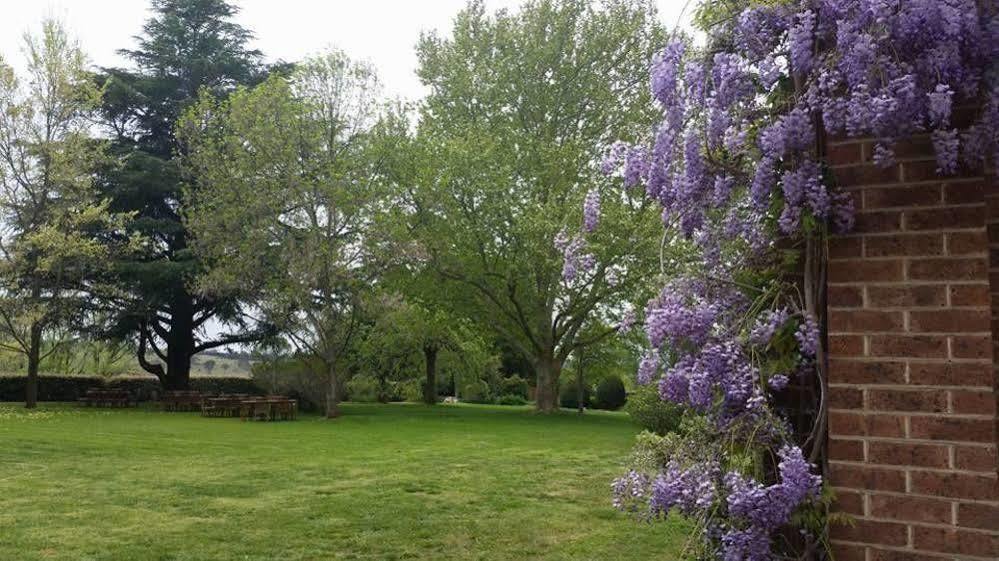 Petersons Armidale Winery And Guesthouse Екстериор снимка